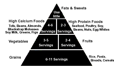 IBS Food Pyramid