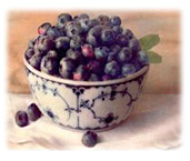Blueberry