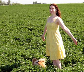 Peppermint Tummy Tea Fields